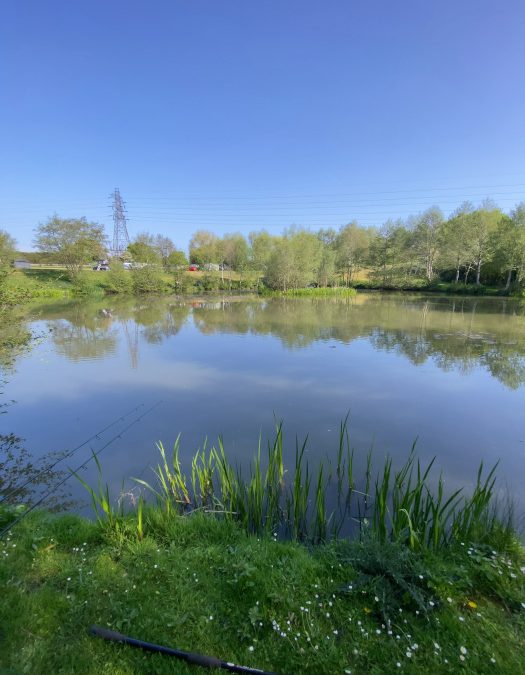 Hintlesham Fisheries May 2025