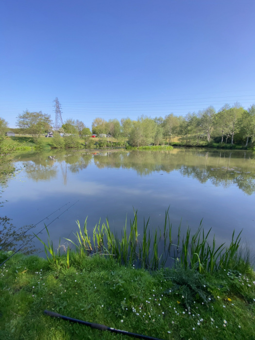 Hintlesham Fisheries